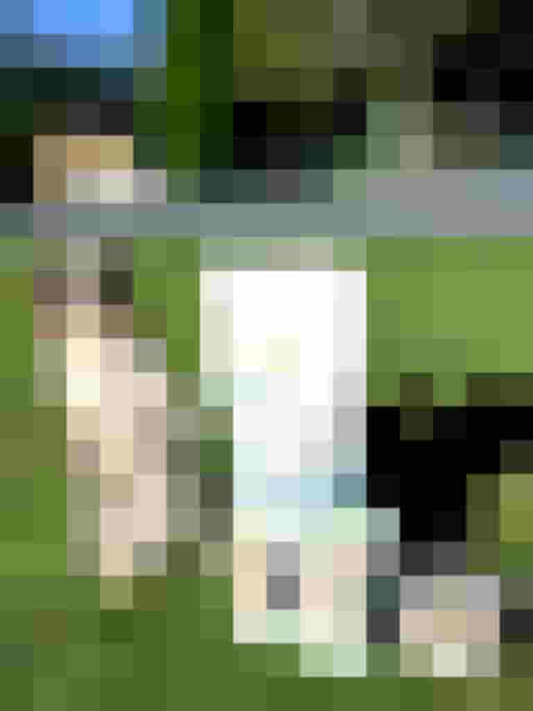 Hund sitzt auf Wiese neben Hundefutter, Trainingsplatz Hundeverein Niedernsill