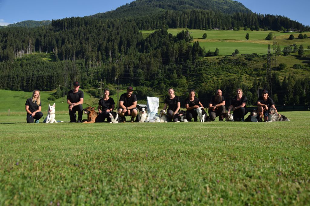 Gruppe mit Hunden auf Wiese vor Berglandschaft Hundeverein Niedernsill Hundeschule Pinzgau