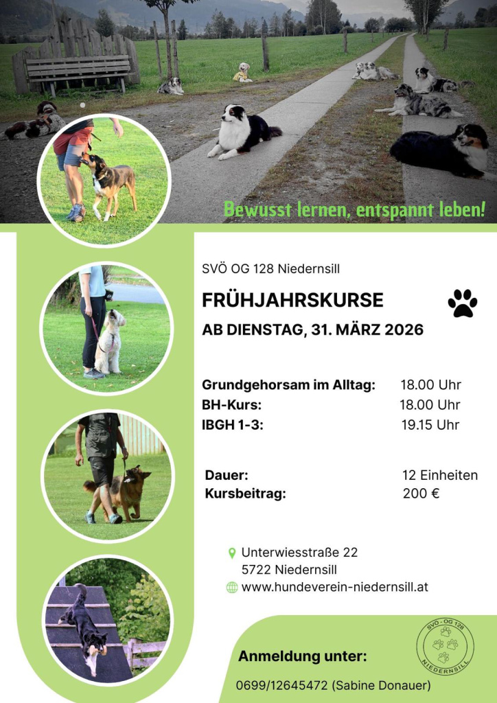 Flyer zu Frühjahrskursen der SVÖ OG 128 Niedernsill final)