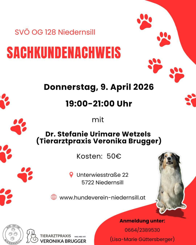Plakat zum Sachkundenachweis beim SVÖ OG 128 Niedernsill am 9. April 2026 von 19:00–21:00 Uhr
