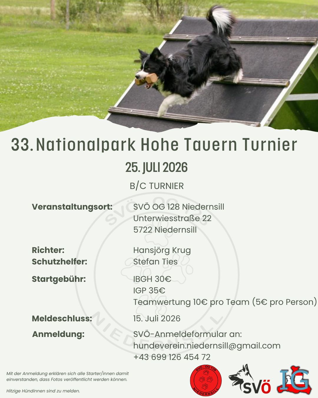 Turnierplakat mit springendem Hund auf Agility-Rampe und Angaben zum Nationalpark Hohe Tauern Turnier 2026