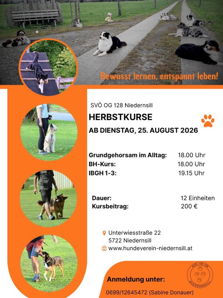 Flyer für Herbstkurse 2026 mit Hundefotos, Kurszeiten und Anmeldeinformationen des SVÖ OG 128 Niedernsill