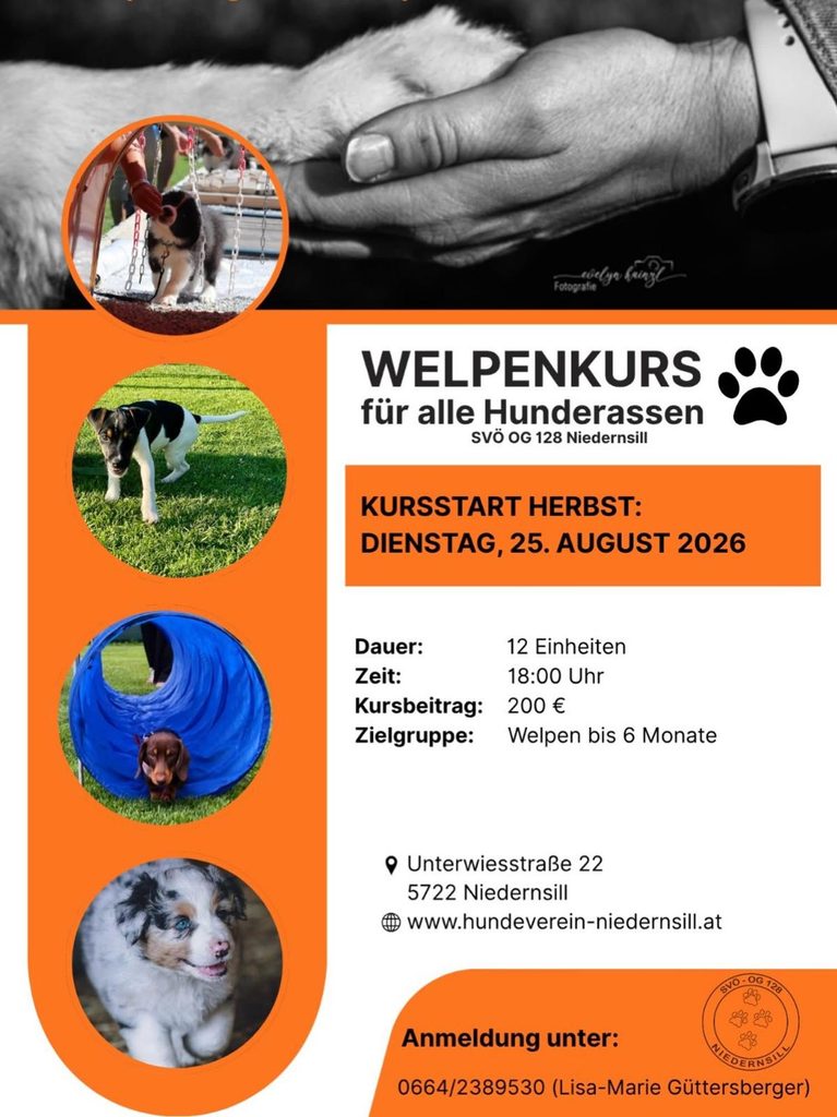 Flyer für einen Welpenkurs Herbst 2026 mit Welpenfotos, Kursdaten und Anmeldeinformationen